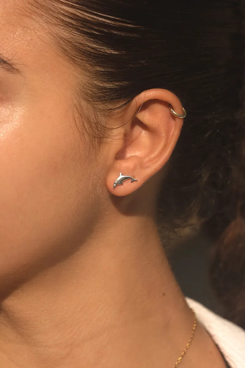 Dolphin Earrings